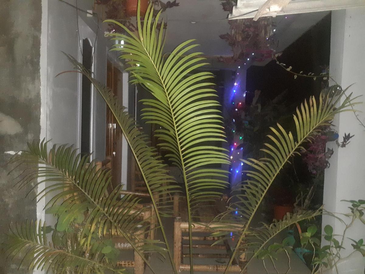 Eltari Homestay Tetebatu Ngoại thất bức ảnh