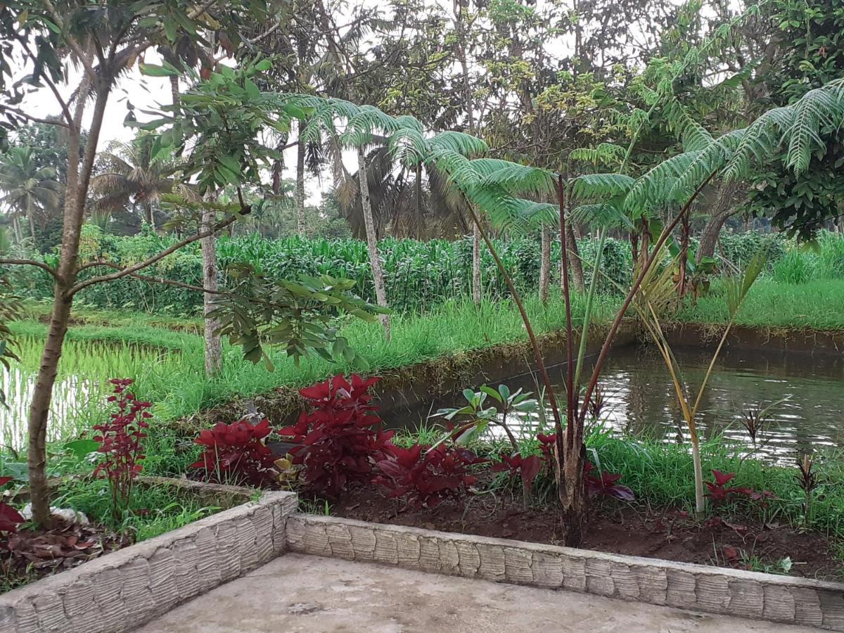 Eltari Homestay Tetebatu Ngoại thất bức ảnh