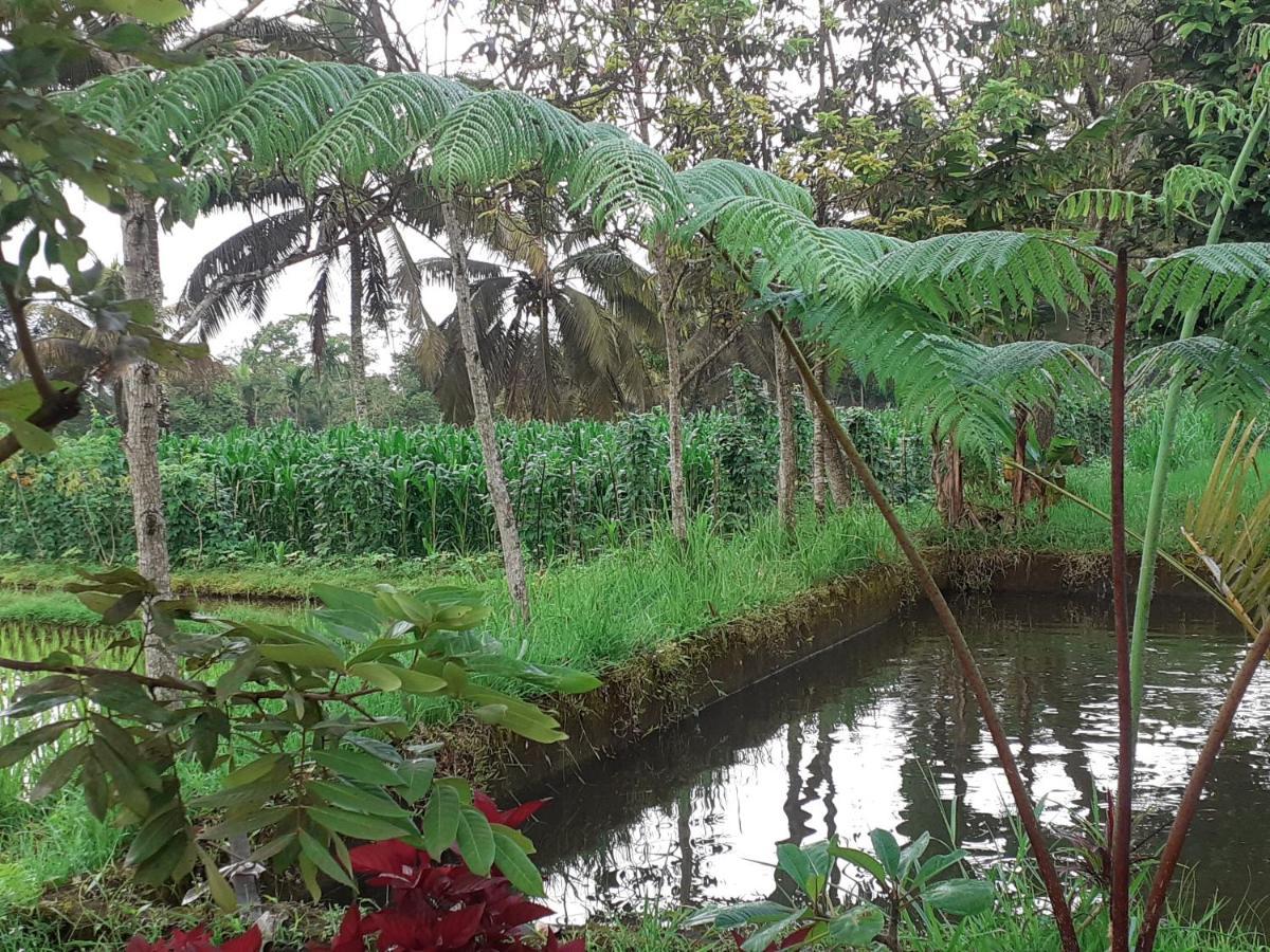 Eltari Homestay Tetebatu Ngoại thất bức ảnh