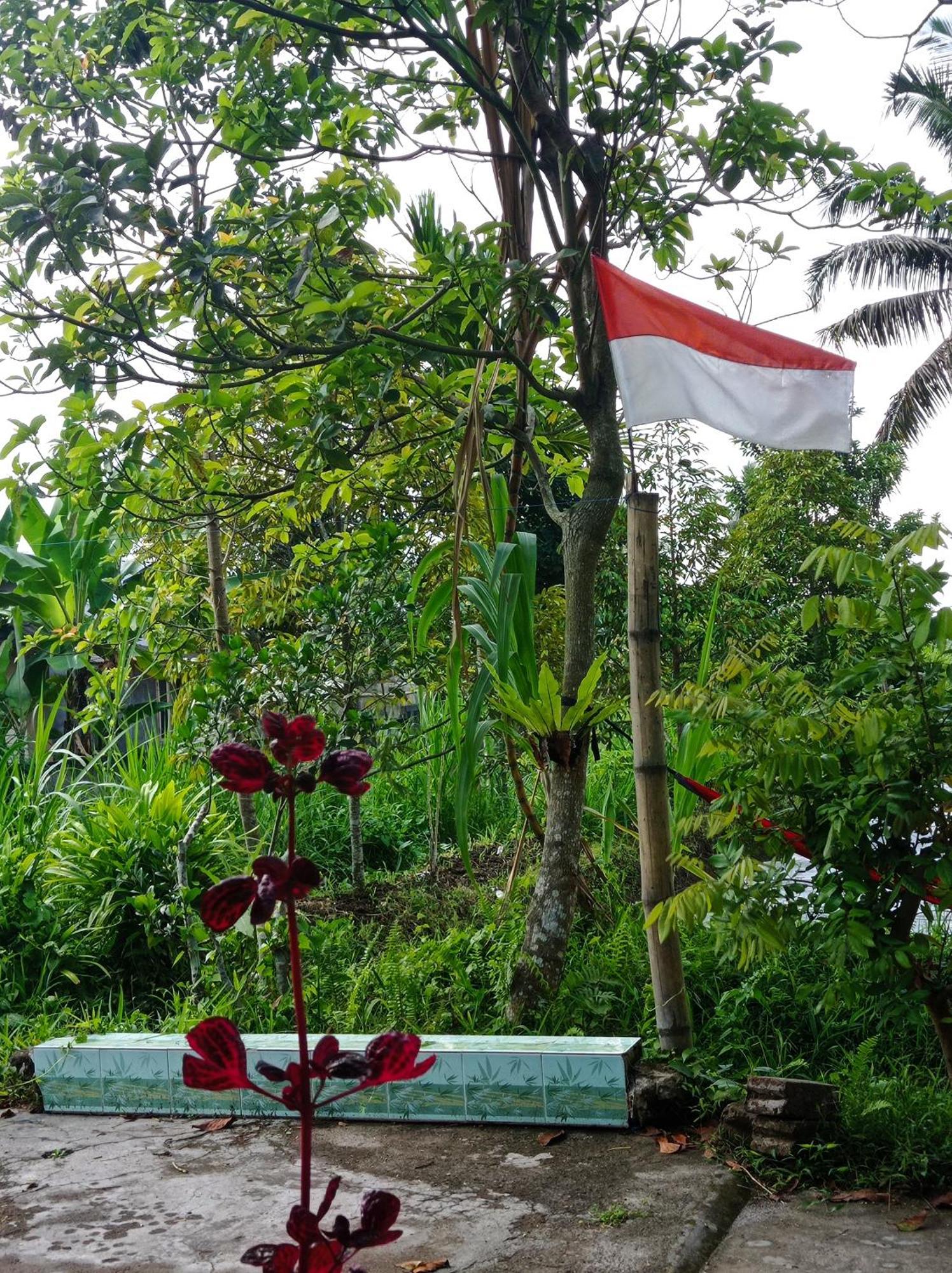 Eltari Homestay Tetebatu Phòng bức ảnh
