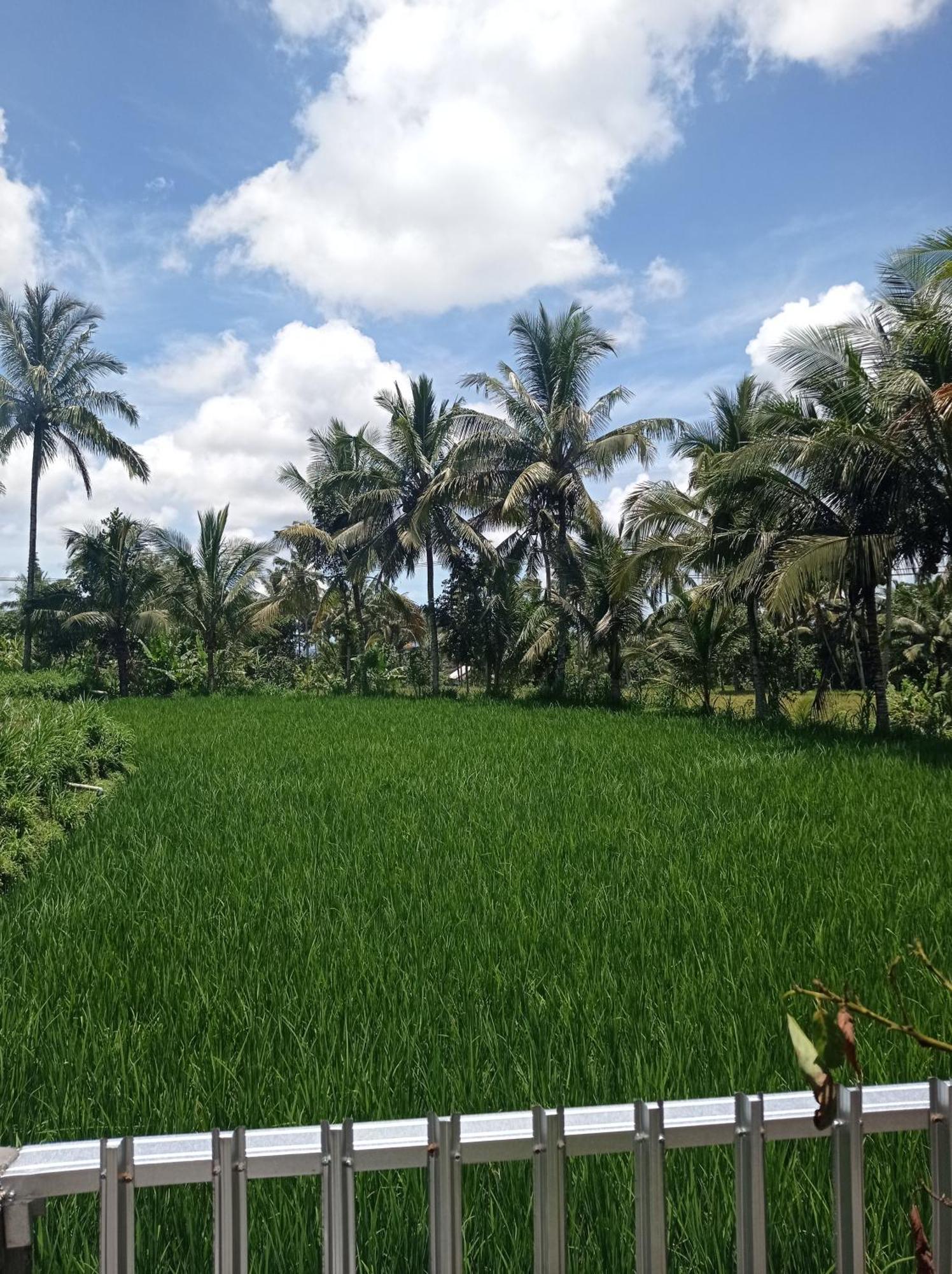 Eltari Homestay Tetebatu Ngoại thất bức ảnh
